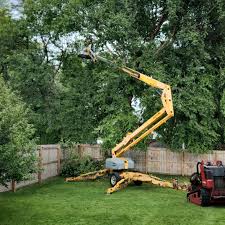 Best Utility Line Clearance  in Rochester, PA