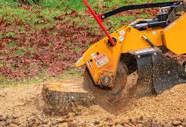 Best Lawn Irrigation Installation and Maintenance  in Rochester, PA